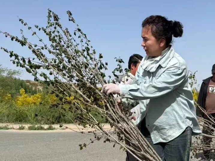 新M8825D车主，被表扬