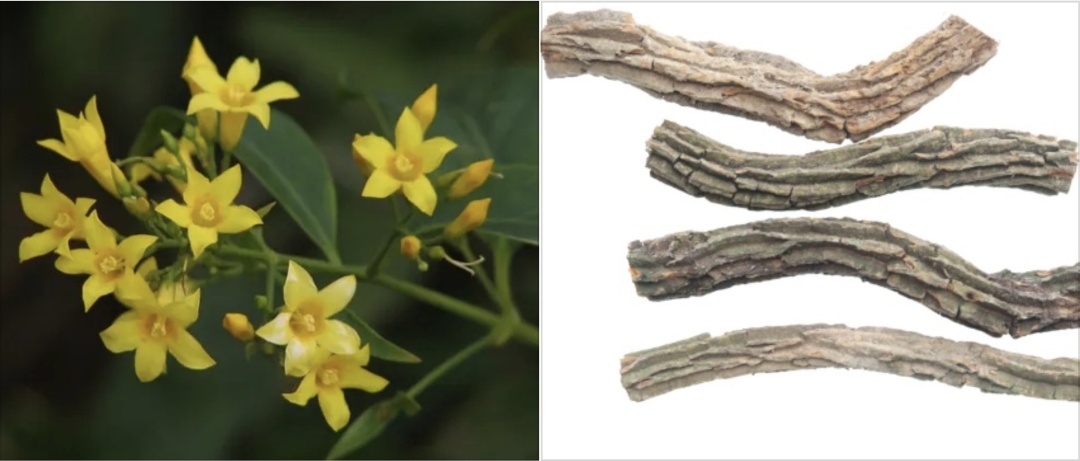 复刻“莫氏鸡煲”，佛山紧急提醒→