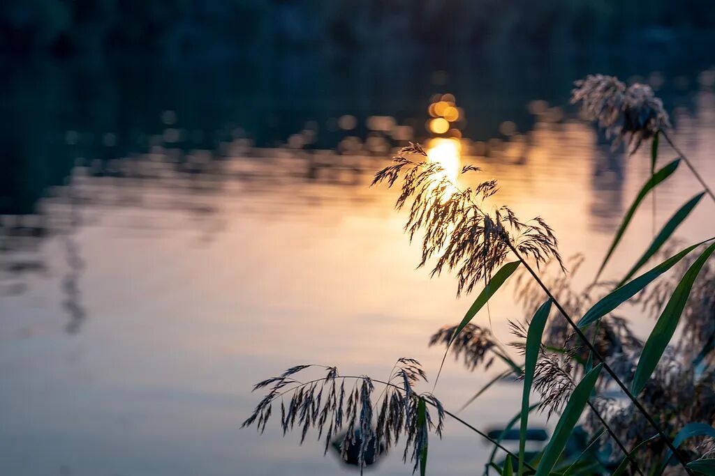 放假通知！这些地方连休4天