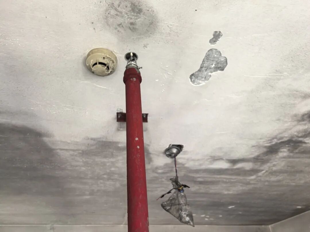 厂区夜晚突降“火雨”！小小的“它”立大功