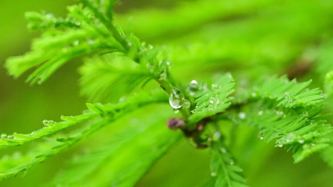 雷雨局部大雨或暴雨！广东下周仍有雨