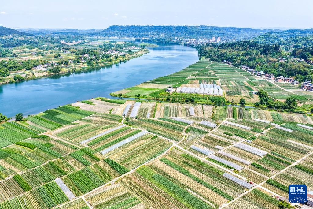 “巴渝粮仓”春日农耕美如画