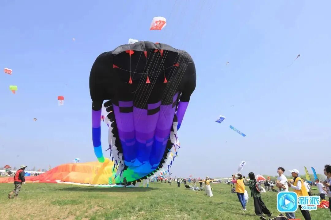 “红鲤鱼与绿鲤鱼与驴”上天了！潍坊风筝，必须给到一个“夯”