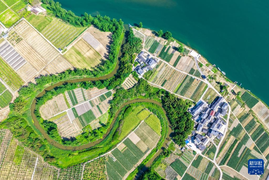 “巴渝粮仓”春日农耕美如画