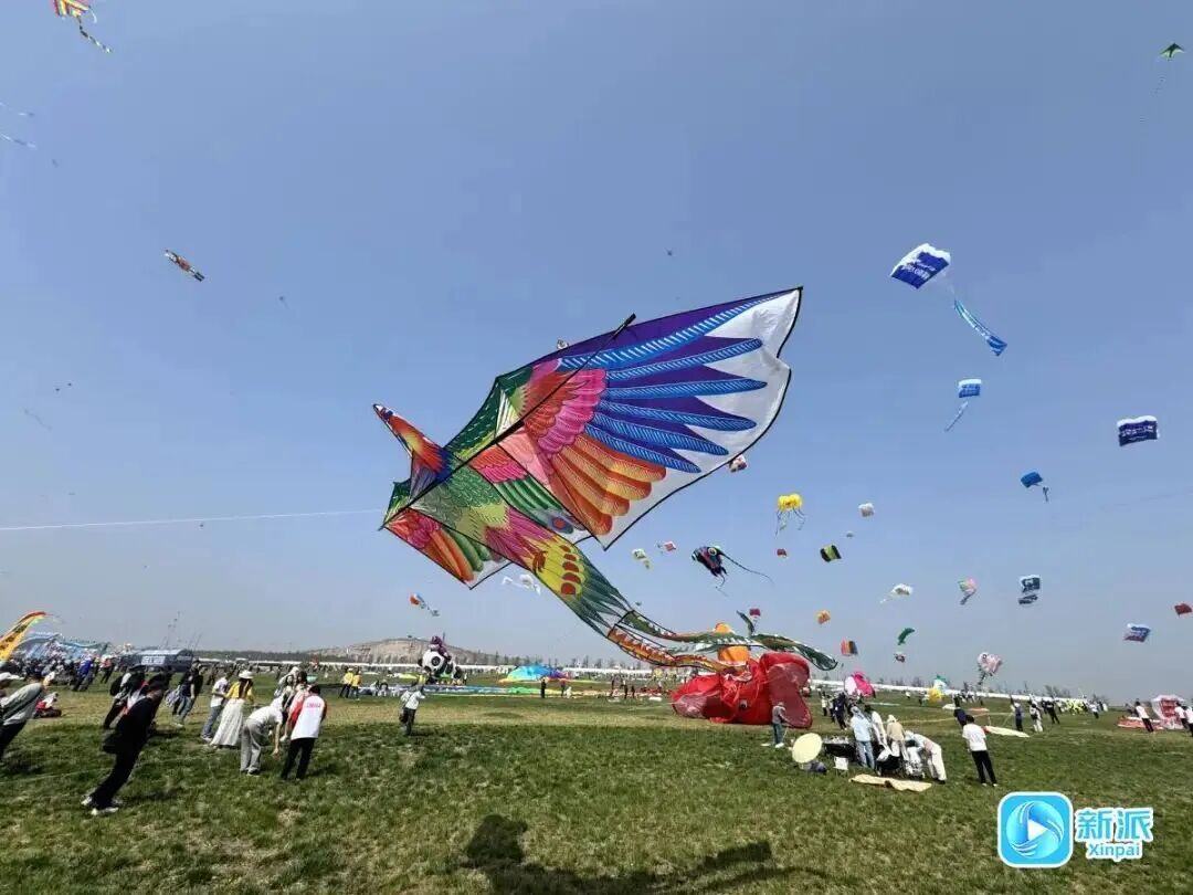 “红鲤鱼与绿鲤鱼与驴”上天了！潍坊风筝，必须给到一个“夯”
