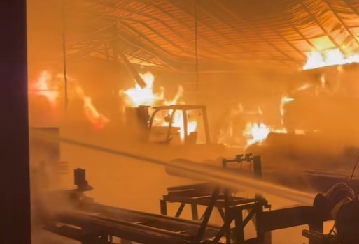 厂房烧成废墟！又是它惹的祸……