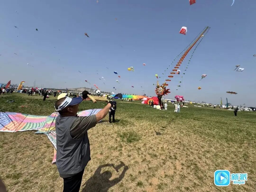 “红鲤鱼与绿鲤鱼与驴”上天了！潍坊风筝，必须给到一个“夯”