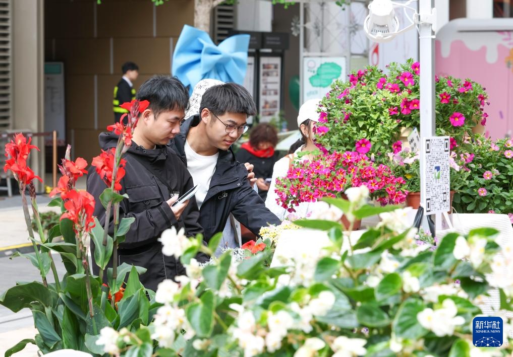 2026上海国际花卉节开幕