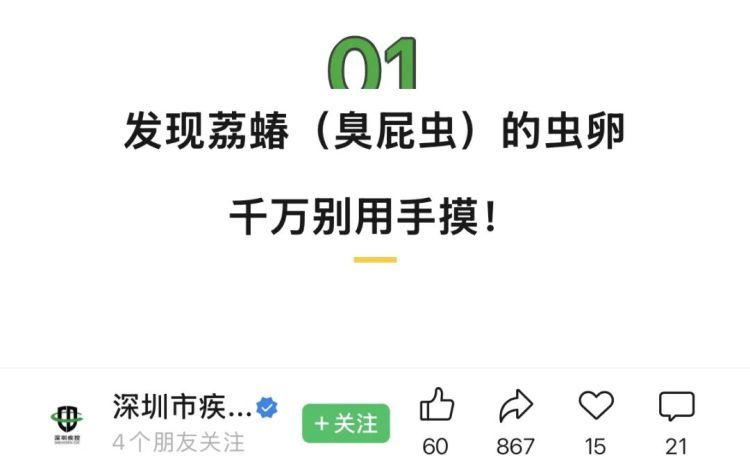 快检查自家阳台！有人家里已大量出现，官方提醒：千万别摸