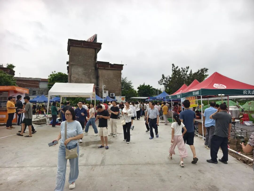 一家“不想火”的鸡煲店，照见顺德“甘当配角”的四十年功底