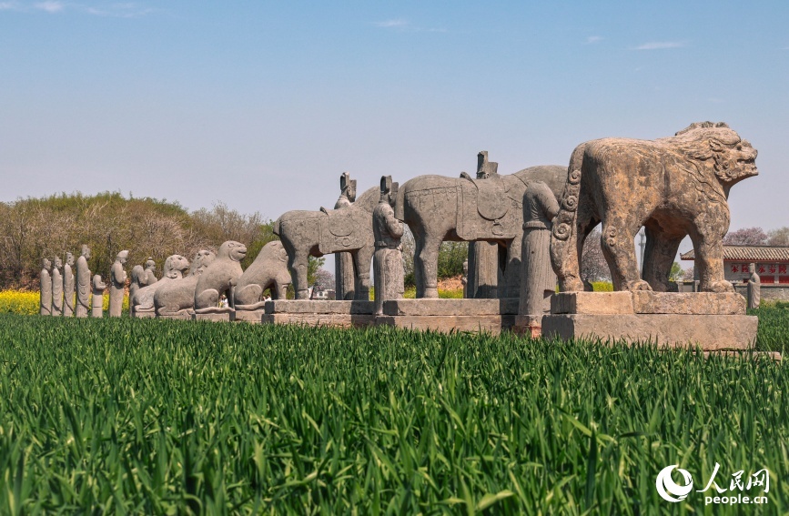 千年石像为啥不装保护罩？揭秘！
