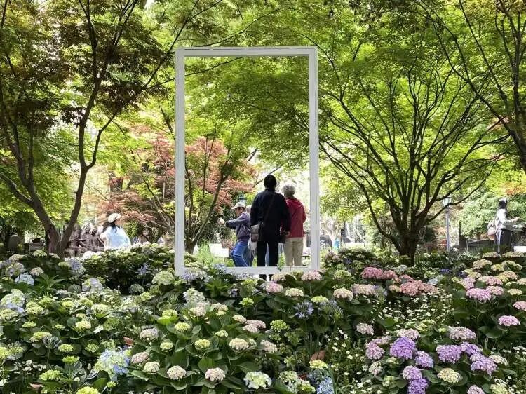 朋友圈被刷屏！上海“花头”真的太浓了！“感觉这里有1亿人”