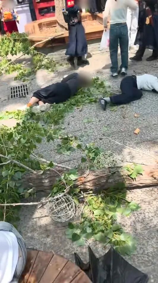 万岁山武侠城致歉