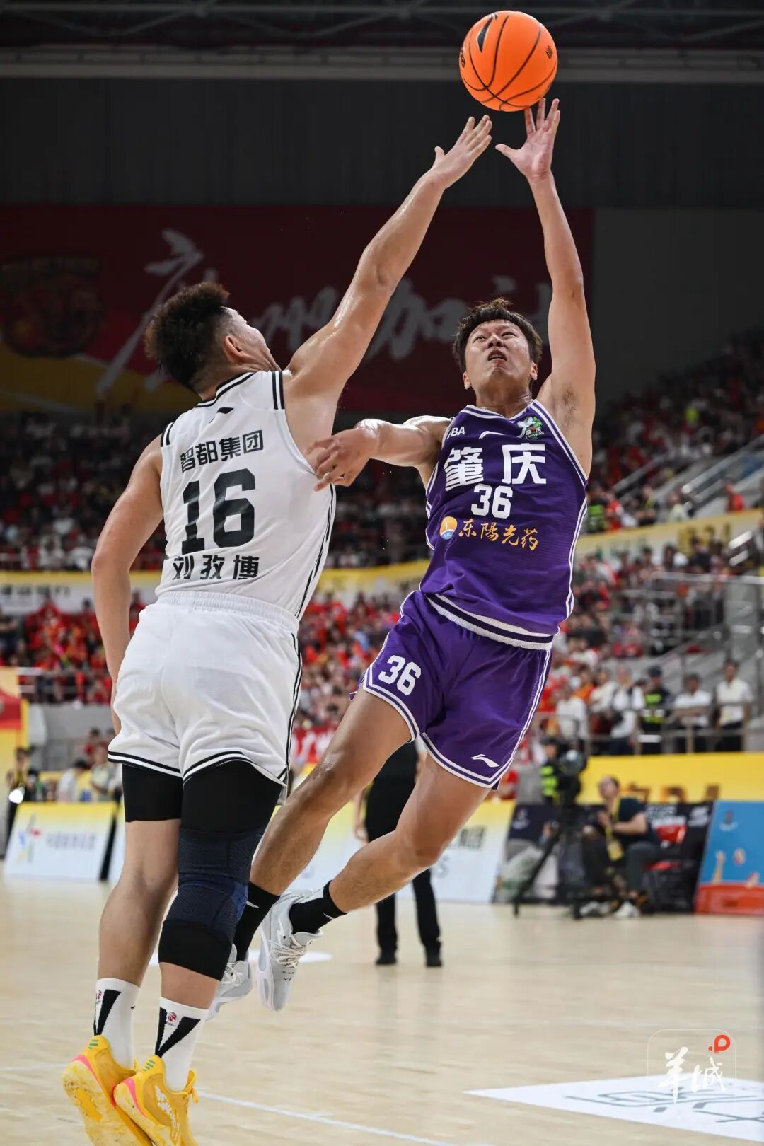 主场大胜肇庆队，粤BA常规赛第四轮广州队豪取三连胜！