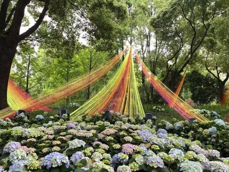 朋友圈被刷屏！上海“花头”真的太浓了！“感觉这里有1亿人”