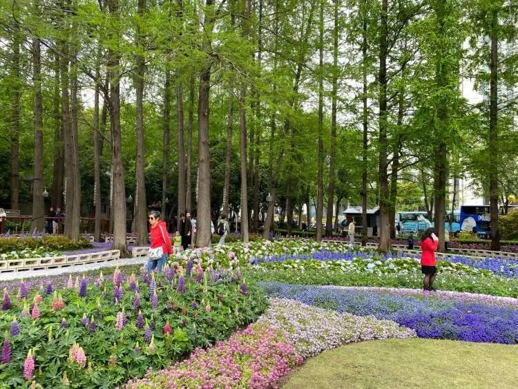 朋友圈被刷屏！上海“花头”真的太浓了！“感觉这里有1亿人”