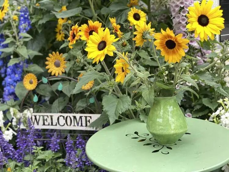 朋友圈被刷屏！上海“花头”真的太浓了！“感觉这里有1亿人”