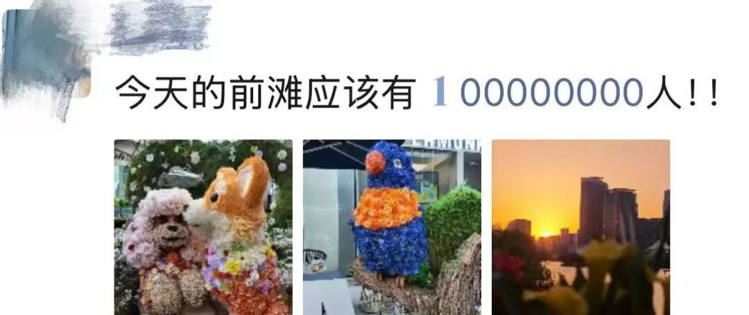朋友圈被刷屏！上海“花头”真的太浓了！“感觉这里有1亿人”