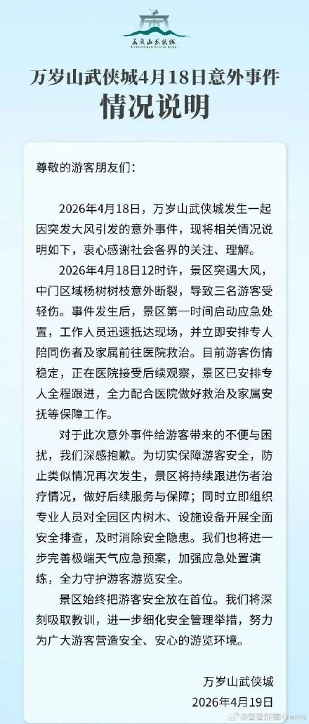 万岁山树枝断裂砸伤游客受轻伤