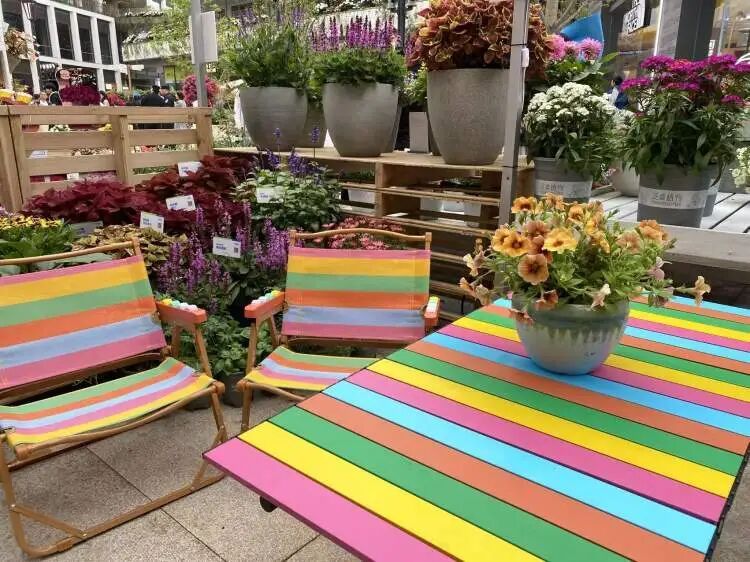 朋友圈被刷屏！上海“花头”真的太浓了！“感觉这里有1亿人”