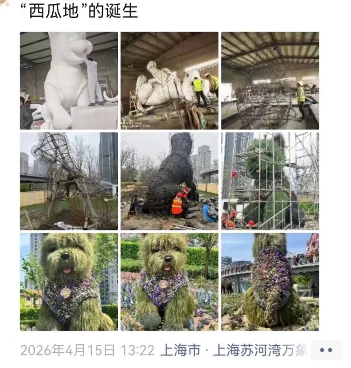 朋友圈被刷屏！上海“花头”真的太浓了！“感觉这里有1亿人”