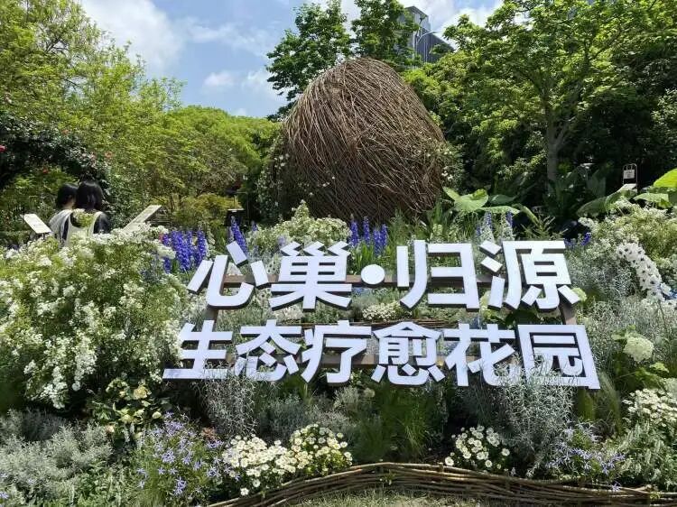 朋友圈被刷屏！上海“花头”真的太浓了！“感觉这里有1亿人”