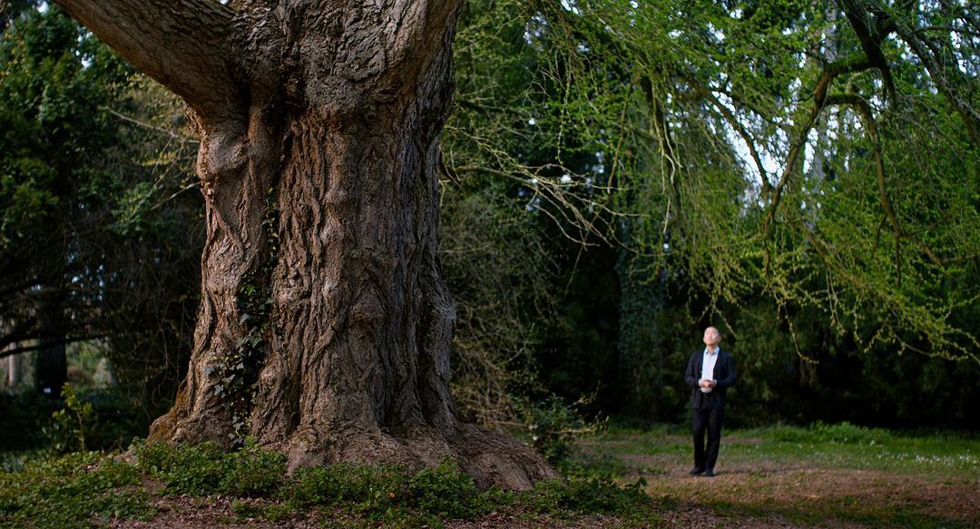 《寂静的朋友》主创到上海：梁朝伟和银杏树演对手戏，i人这次拍舒服了