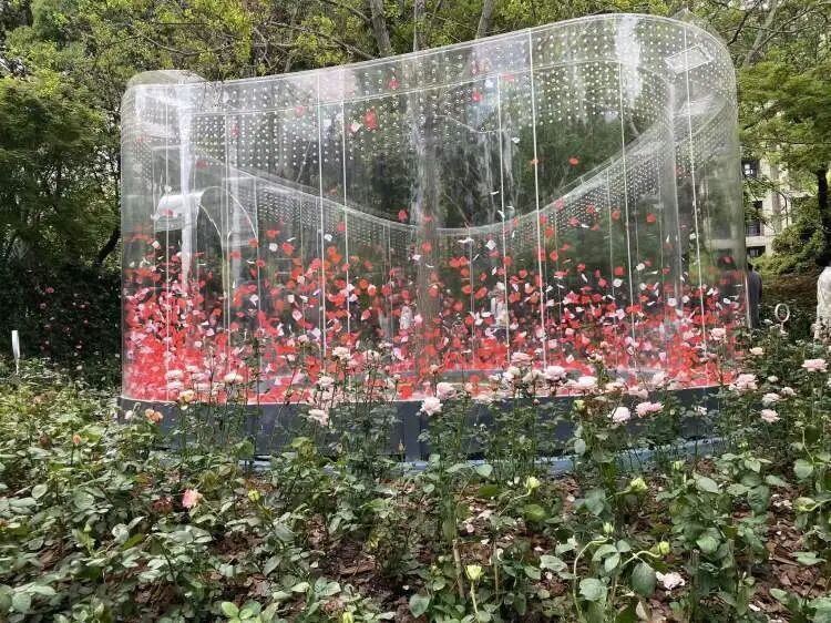 朋友圈被刷屏！上海“花头”真的太浓了！“感觉这里有1亿人”