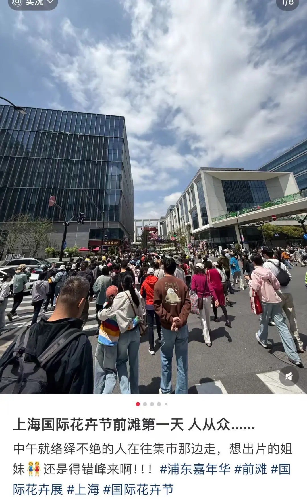 朋友圈被刷屏！上海“花头”真的太浓了！“感觉这里有1亿人”