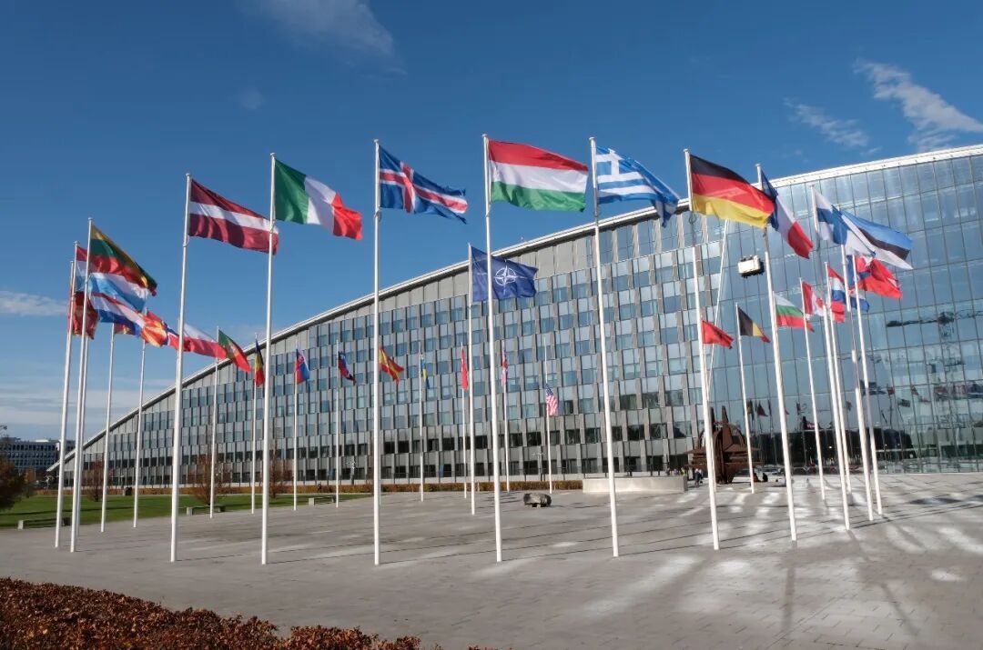 被骂“纸老虎”后 北约秘书长回应了