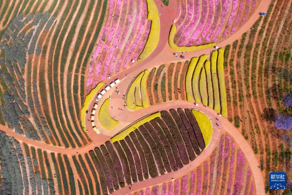 云南抚仙湖：碧水漾清波 湖光醉游人