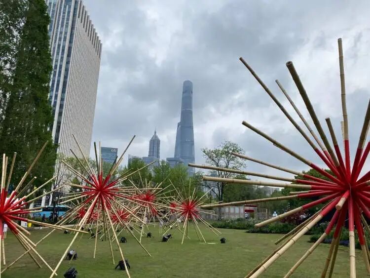 朋友圈被刷屏！上海“花头”真的太浓了！“感觉这里有1亿人”