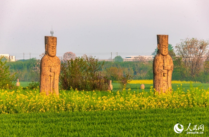 千年石像为啥不装保护罩？揭秘！