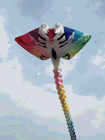 给潍坊一根线 啥都能上天