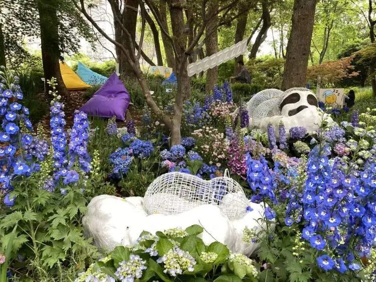 朋友圈被刷屏！上海“花头”真的太浓了！“感觉这里有1亿人”