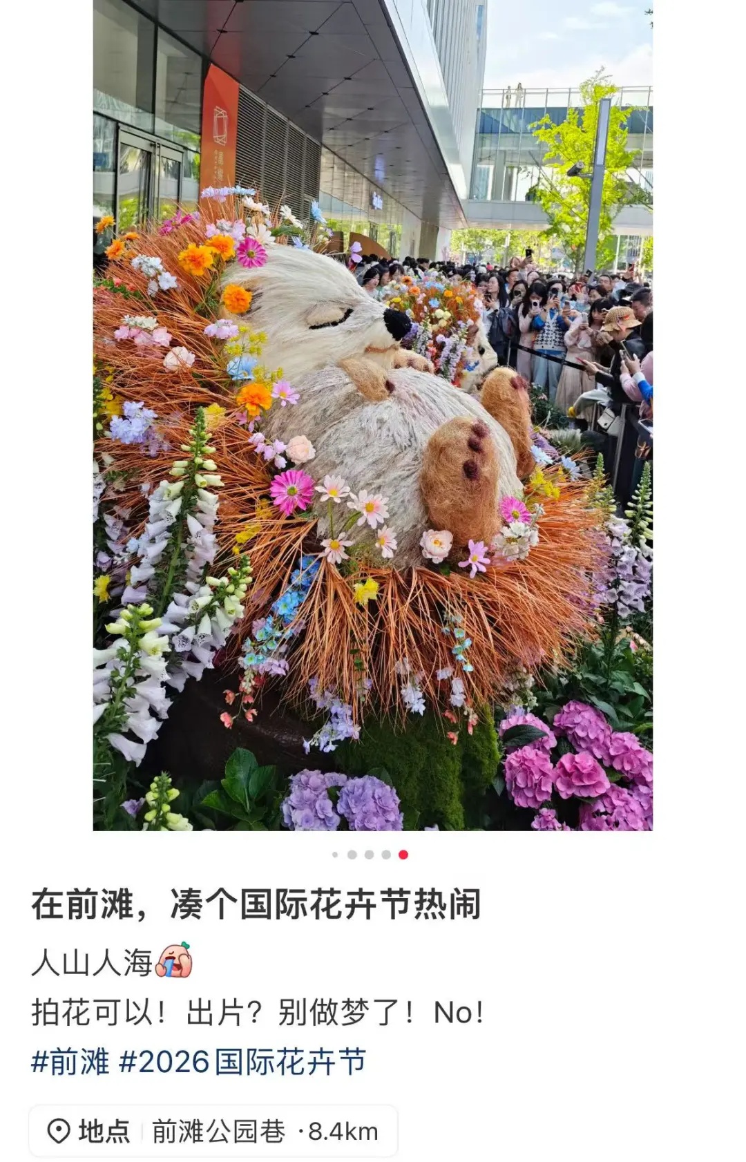 朋友圈被刷屏！上海“花头”真的太浓了！“感觉这里有1亿人”
