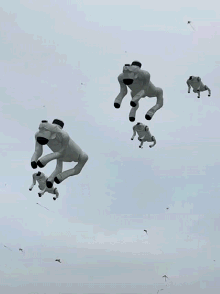 给潍坊一根线 啥都能上天