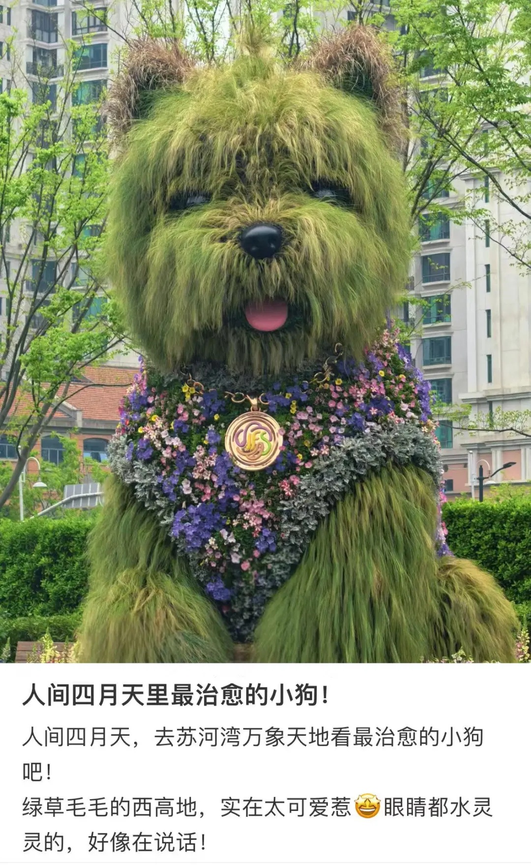 朋友圈被刷屏！上海“花头”真的太浓了！“感觉这里有1亿人”