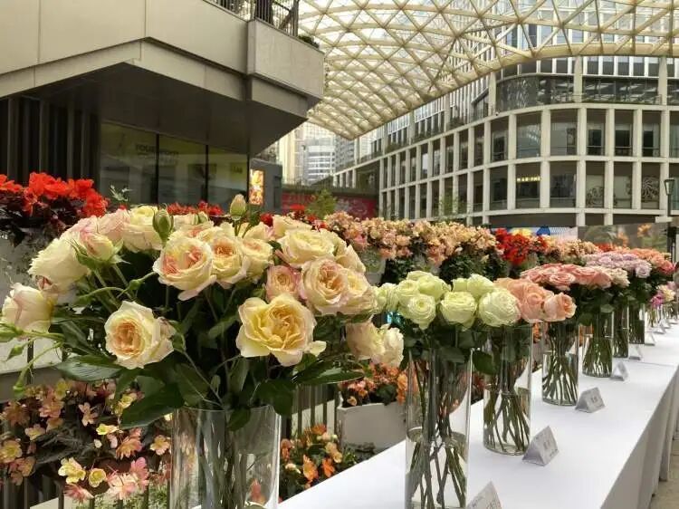 朋友圈被刷屏！上海“花头”真的太浓了！“感觉这里有1亿人”