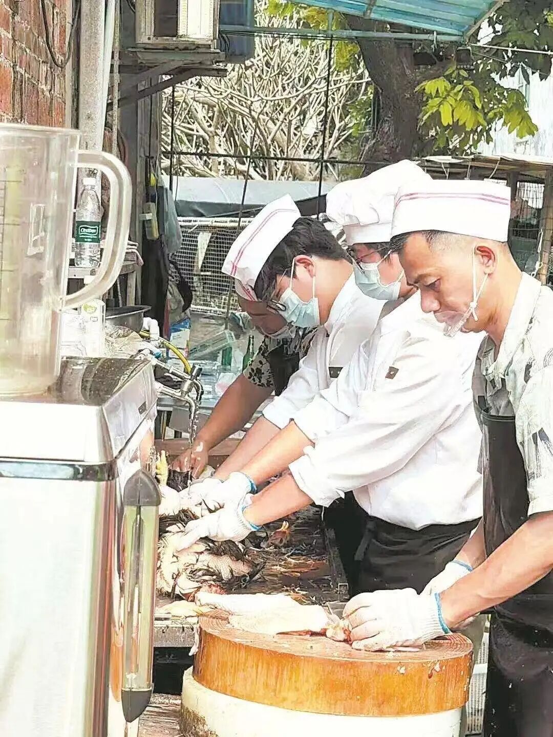 一家“不想火”的鸡煲店，照见顺德“甘当配角”的四十年功底