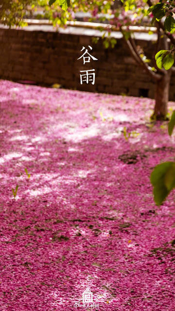 故宫谷雨壁纸意境感拉满