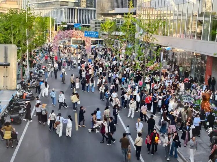 “半个上海的人都出动了”！1只西高地引爆史诗级大客流，101只西高地组团来看网红前辈