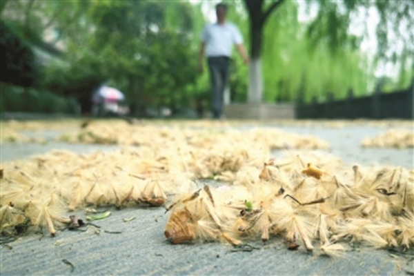 杭州男子家住景区，遇到知名男星一样的烦恼……