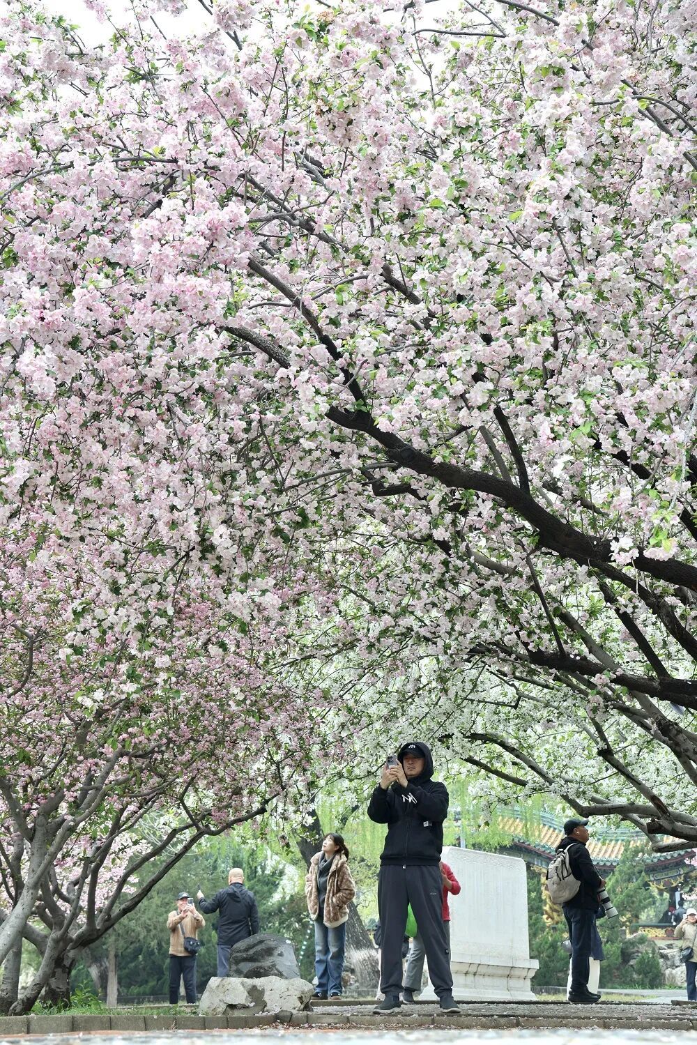 今天9时39分，我们迎来——