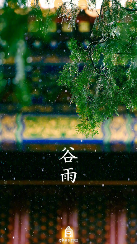 故宫谷雨壁纸意境感拉满