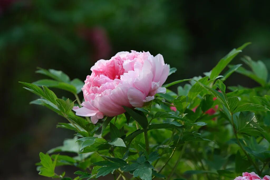 今日谷雨，讲个冷知识！