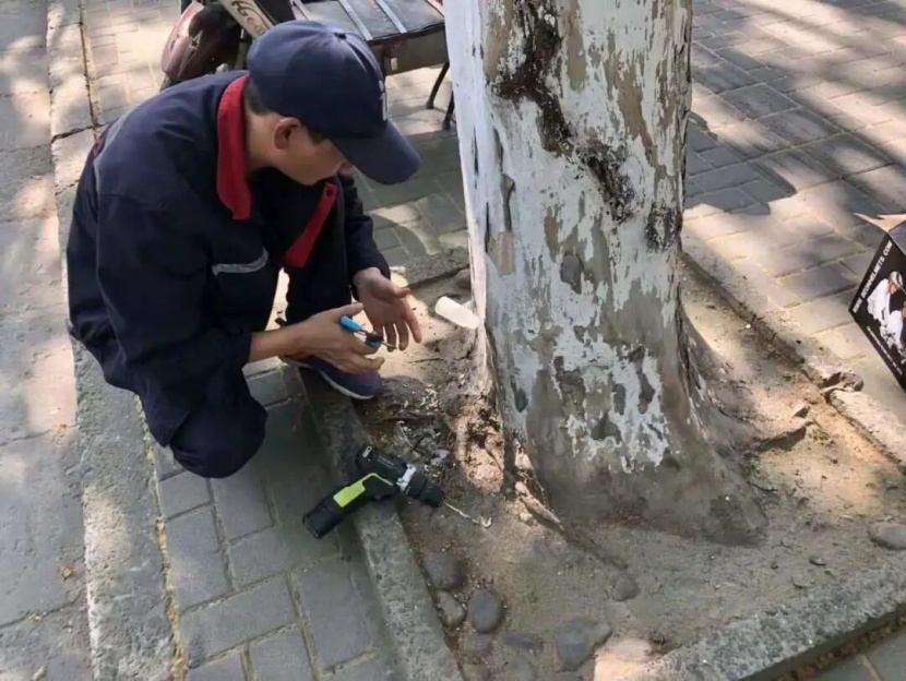 杭州男子家住景区，遇到知名男星一样的烦恼……