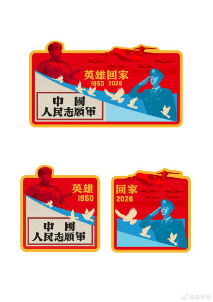 空军发布接迎任务标识