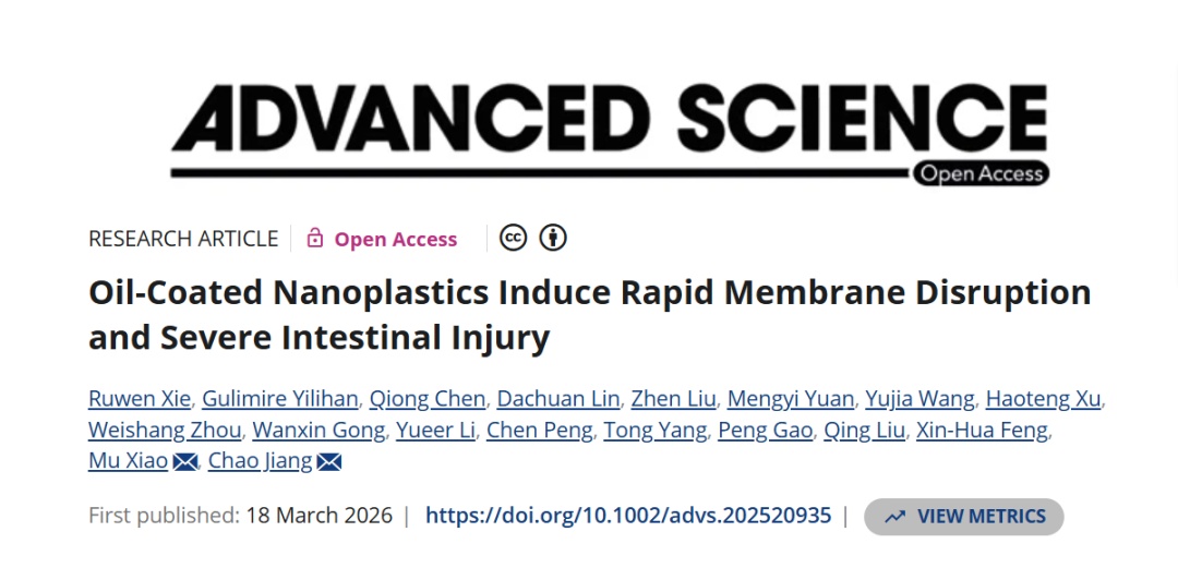 你吃进去的不是饭菜，是微塑料！浙大研究：这样加热，微塑料飙升125倍
