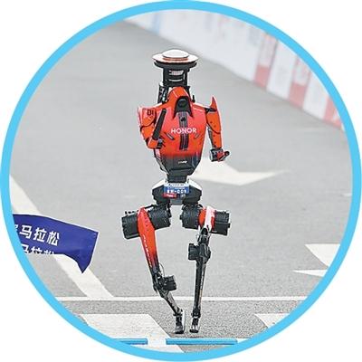 我是“闪电”，生来爱奔跑